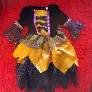 Princess/witch/Fairy costume/can be used for any 1